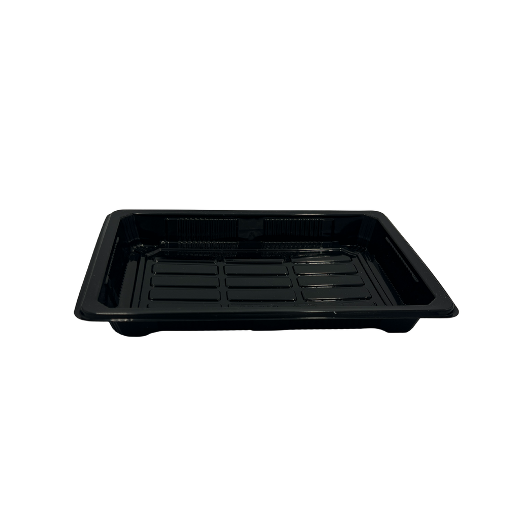 Sushi Tray TX-05 mit Deckel